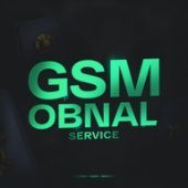 GSM SERVICE